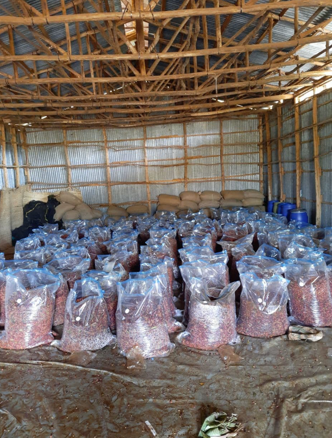 Adey - Etiopien